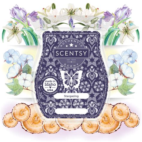 Scentsy July 2021 Warmer And Scent Of The Month Above The Clouds Warmer