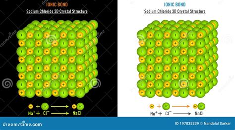 Ionic Bond In Sodium Chloride Crystal Stock Vector Illustration Of