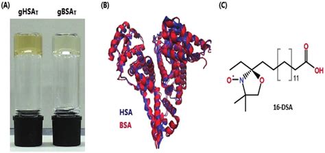 A Bovine And Human Serum Albumin Hydrogels Are Formed At 50 °c And Ph Download Scientific