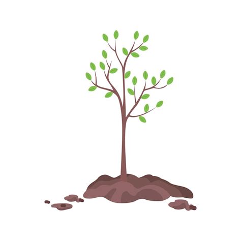 Tree Growing Animation