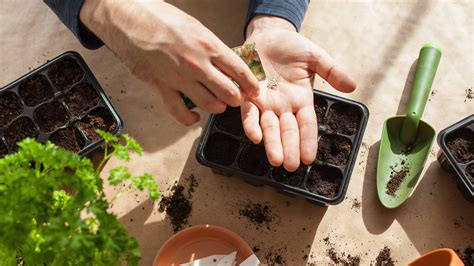 Plants You Can Start Growing Indoors For January Tom S Guide