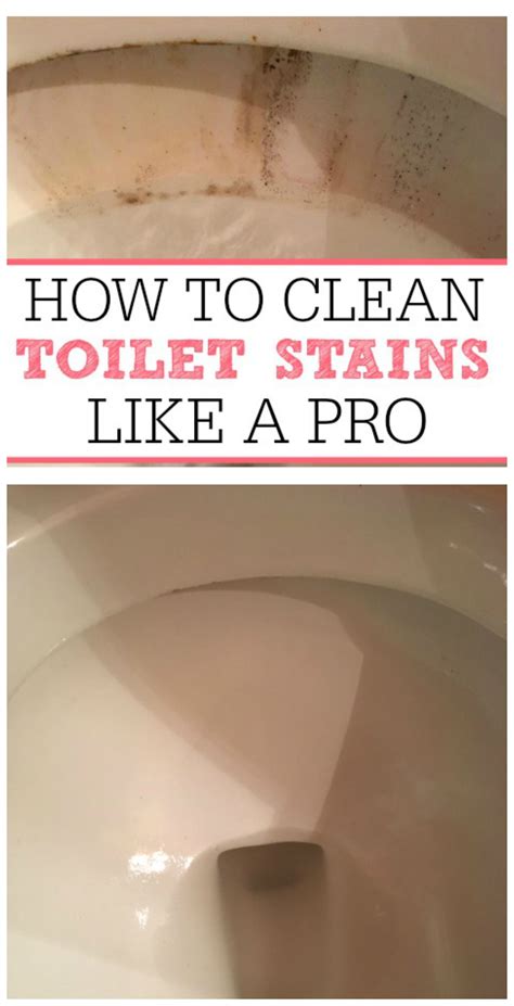 How To Clean Toilet Stains Like A Pro Artofit