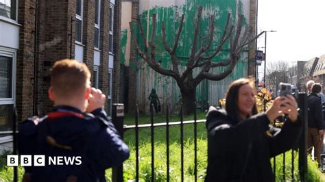 Banksy Artist Confirms New London Tree Mural Is His Own Work Bbc News