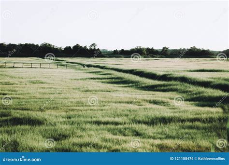 Creek And Marshy Field Stock Photo Image Of Evening 121158474