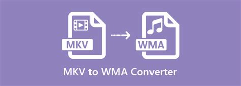 Top Best Mkv To Wma Converters You Must Use