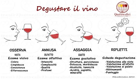 La Degustazione Del Vino Quattrocalici Conoscere Il Vino