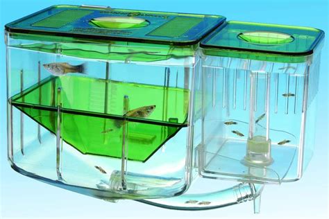 GZYM Fisch Zucht Box Acryl Schwimmende Fische Hatchery Isolation Box