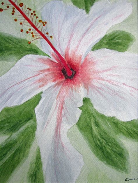 Hibiscus Flower Painting Acrylic At Explore Collection Of Hibiscus Flower