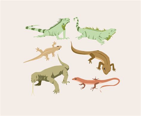 Various Lizard Vector Vector Art And Graphics