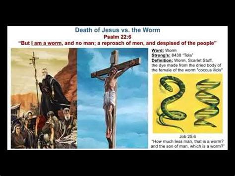 Alchemy Triple Helix DNA The Scientific Depth Of The Bible YouTube