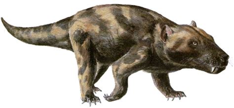 Cynognathus - Dinopedia - the free dinosaur encyclopedia