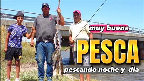 Pesca Con Carnada Viva Pescando Bajo El Puente Youtube