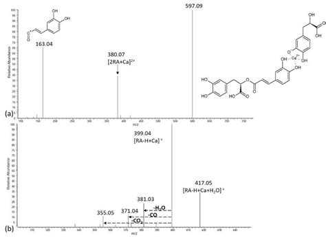 12 MS MS Spectrum Of Rosmarinic Acid With Calcium RA Ca 1 A M Z