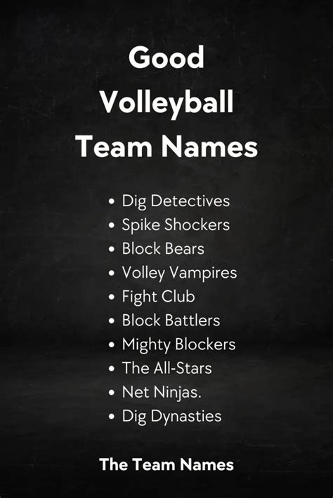 Top Volleyball Team Names That Are Everyone S Favorite In 2024