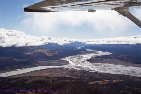 Flightseeing the Kluane Glaciers in Kluane National Park, Yukon Territory - Lambs Ears and Honey ...