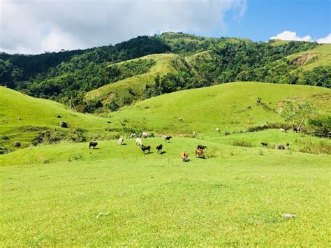 Information about Marinduque Wildlife Sanctuary | Guide to the Philippines