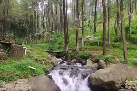 Recomended Klurak Eco Park Tempat Wisata Baru Yang Cocok Buatmu Yang