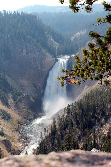 Yellowstone Falls Photo By Jezewski Fall Photos Yellowstone Photo