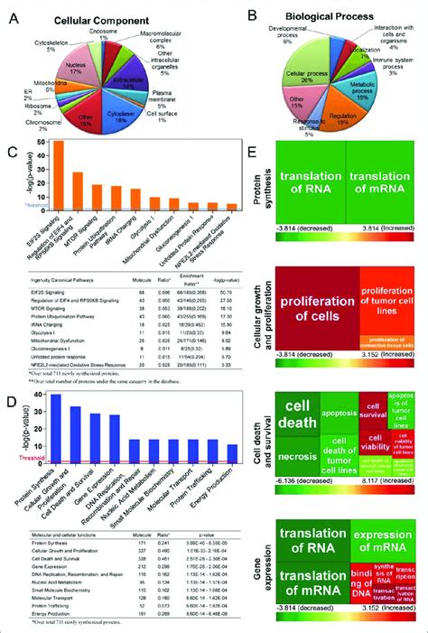 Gene Ontology Go Analysis Canonical Pathways Molecular And Cellular Download Scientific