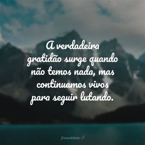 50 Frases Curtas De Gratidão Para Demonstrar A Nobreza Da Sua Alma