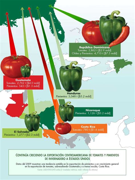 Países centroamericanos líderes en la producción de tomates y pimientos