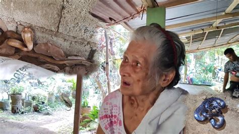 Napaiyak Si Lola Dalawa Na Napat Y Ng Matapang Na Ahas Cobraprince