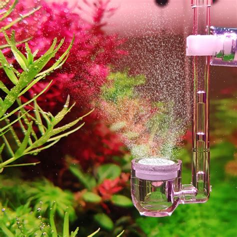 Aquarium CO2 System Blasiert Diffusor U Geformt Ze Grandado