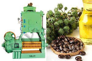 Castor Seed Oil Extraction Machine Manufacturers, Exporters in India