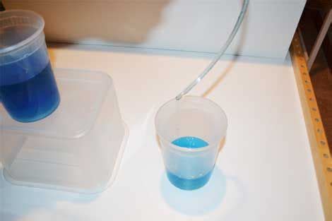 Water Siphon Experiment | Science with Kids.com in 2024 | Experiments ...