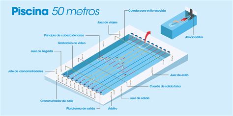 Piscina Ol Mpica Medidas Cu Les Son Sus Dimensiones