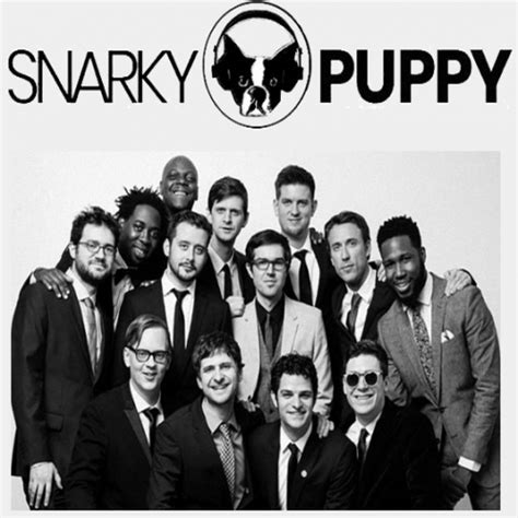 Discography By Snarky Puppy On Plixid