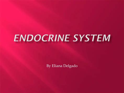 Endocrine System Ppt