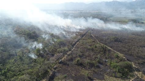 Prensalibrecasanare On Twitter Incendio Forestal Ha Consumido Varias