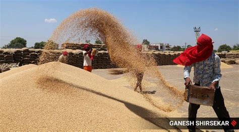 Govt Rabi Grain Output Exceeds Target Foodgrain Output At Record High