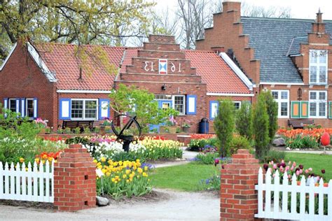 Ogród holenderski zaprojektuj ogród rodem z Keukenhof Rośliny