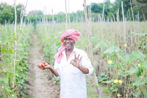 Premium Photo Indian Farmer Holding Tomato In Hands Happy Farmer