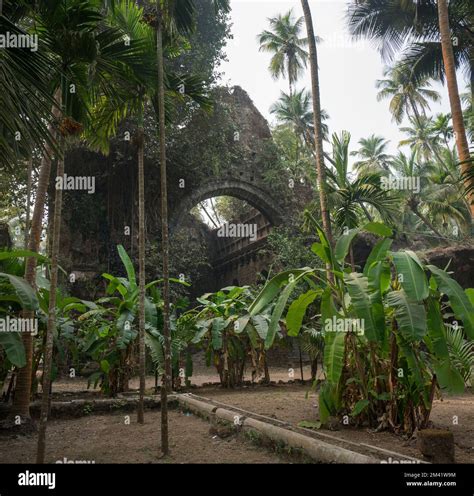 Ruins Of Saint Dominican Church And Convent At Revdanda Fort Near