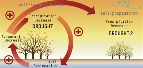 Do droughts self-propagate and self-intensify? — Faculty of Bioscience ...