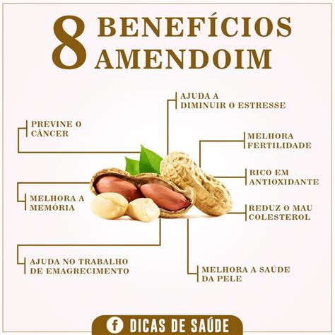 Os Benef Cios Do Amendoim Para Sa De Dicas De Sa De Dicas De