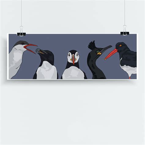 Seabird Art Print | Seabirds Panoramic