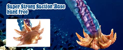 Amazon Ferch Long Tentacle Dildo Anal Sex Toys In Realistic Anal Dildo Anal Plug With