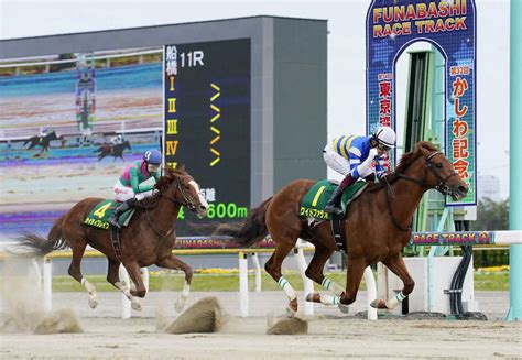 【船橋・かしわ記念】本紙公営担当3記者がガチンコ予想 5日発走 スポニチ競馬web