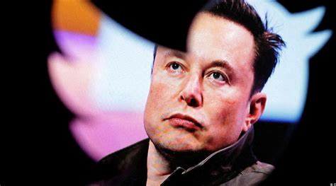 What Does Elon Musk S Ridiculous Twitter Poll Reveal Nothing Really