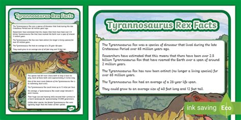 Tyrannosaurus Rex Facts Display Poster (teacher made)