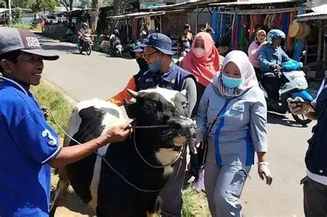 Geruduk Kantor DPRD Boyolali Pedagang Keluhkan Pasar Hewan Yang Tak