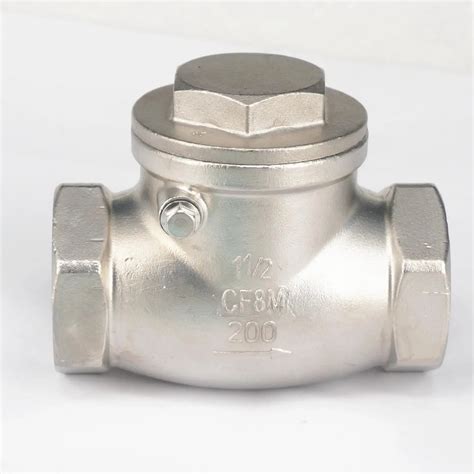 Dn Bsp Female Thread Stainless Steel Swing Check Valve Non