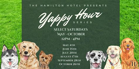 The Hamilton Hotel Alpharettas Yappy Hour Series The Hamilton