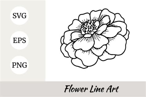 Marigold Flower Line Art Svg Graphic By Nurdesign99 · Creative Fabrica