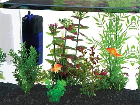 6 Best 10-gallon Planted Aquarium (Tank) For All Fish Breeds