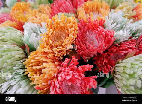 Artificial Colorful Flowers on display looking fresh and real Stock ...